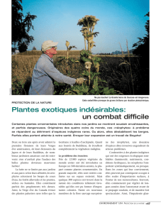 Plantes exotiques invasives et indésirables - LAB-Immo