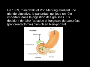 En 1889, minkowski et Von Mehring étudient une glande digestive