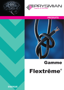 Brochure FLEXTREME - B