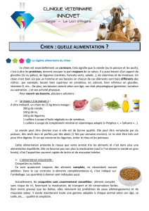 chien quelle alimentation - Clinique Vétérinaire Innovet