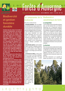 Biodiversité et gestion forestière durable