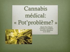 Cannabis médical: « Pot`problème »