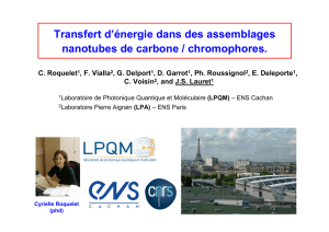 Transfert d`énergie dans des assemblages nanotubes de carbone