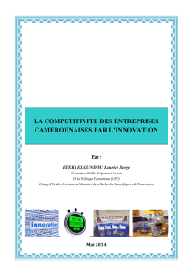 la competitivite des entreprises camerounaises par l`innovation