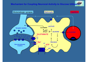 Mechanism for Coupling Neuronal Activity to Glucose Utilization