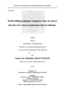 Etude bibliographique comparée entre le cancer du sein et le