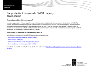 Rapports électroniques du SNISA