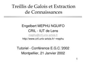 Treillis de Galois et Extraction de Connaissances