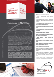 69_Fiche-Commerce-et-Marketing