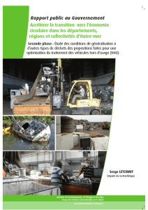 Rapport public au Gouvernement