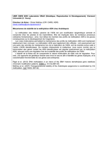 UMR CNRS 6293 Laboratoire GReD (Génétique, Reproduction