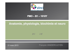 cours neuro 1 - FV