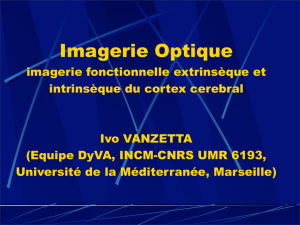 Imagerie Optique - Master Physique