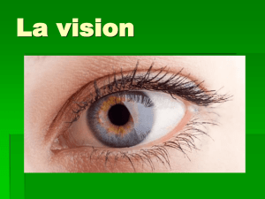 Les maladies de l`oeil