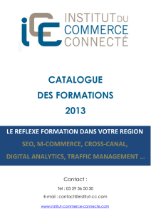 catalogue des formations 2013 - Institut du commerce connecté