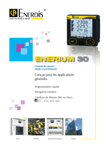 enerium 30