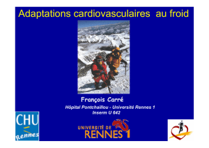 Adaptations cardiovasculaires au froid