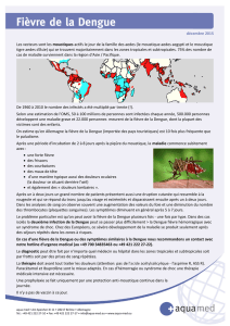 Fièvre de la Dengue