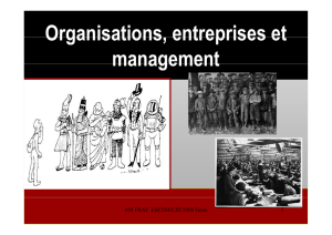 Organisations entreprises et Organisations, entreprises et