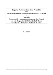 Rapport DUP-Parcellaire Courbevoie - Préfecture des Hauts-de