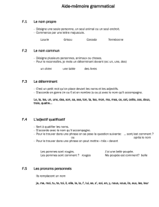 Aide-mémoire français - Blogues CSAffluents.qc.ca