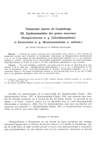 Nematodes marins de Guadeloupe III. Epsilonematidae