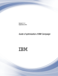 Guide d`optimisation d`IBM Campaign v9.1.2
