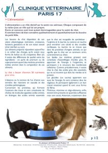 L`alimentation - Clinique vétérinaire Paris 17