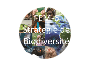 FEM-6 Stratégie de la biodiversité