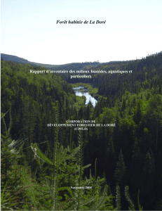 inventaire des milieux humides - Coopérative de solidarité forestière