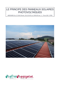 2015-16.TAI.panneaux-solaires-photovoltaiques.rapport