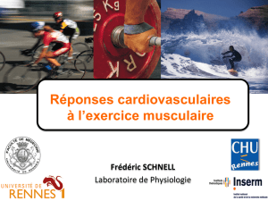 Réponses cardiovasculaires à l`exercice musculaire