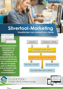 (Microsoft PowerPoint - Plaquette Silvertool-marketing
