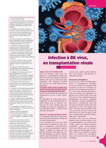 Infection à BK virus, en transplantation rénale