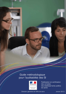 Guide méthodologique pour l`auditabilité des systèmes d`information