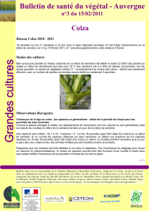 Bulletin de santé du végétal Auvergne N° 3