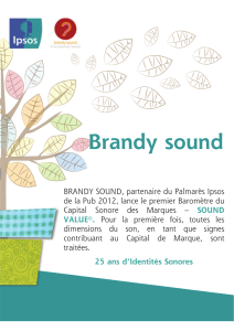 Brandy sound - Sound Value