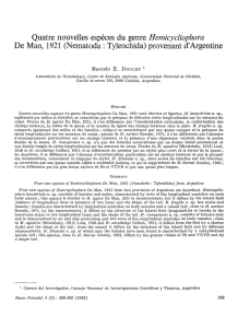 Quatre nouvelles espèces du genre Hemicycliophora De Man, 1921
