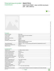 RM22TR33 - Schneider Electric