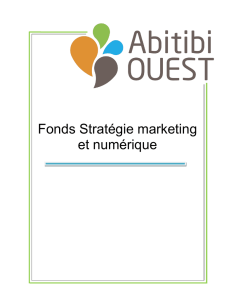 Fonds Stratégie marketing et numérique - MRC d`Abitibi