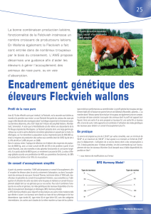 Encadrement génétique des éleveurs Fleckvieh wallons