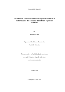 Costa_Margarida_2016_these - Papyrus