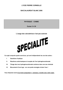 sujet BB06 spécialité - Lycée Pierre Corneille