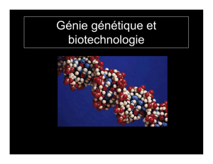 Génie génétique et biotechnologie