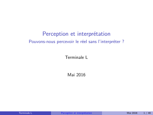 Perception et interprétation - Pouvons