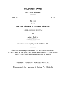 Julien Quérat - Service Central d`Authentification Université de Nantes
