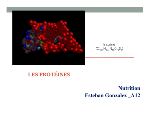 Protéines - Esteban Gonzalez