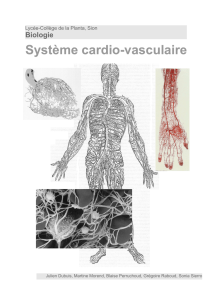 Système cardio-vasculaire