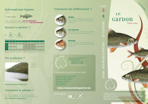 gardon (2) fiche poisson.indd