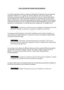 Immunité concours 2002 - Ecole de Podologie de Marseille